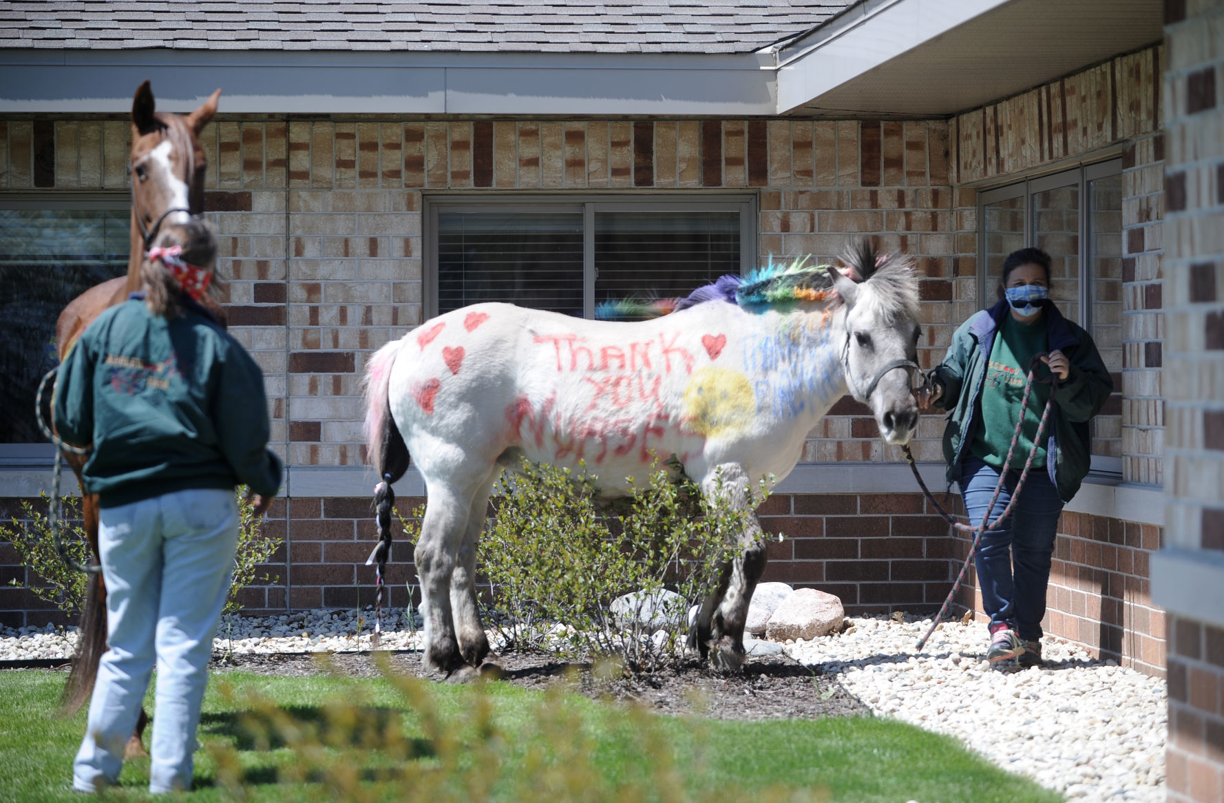 HORSES AT NURSING HOME